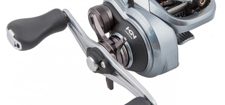 REVIEW TÉCNICO DA CURADINHO 71 XG ,SHIMANO POR EDUARDO CHEDID / LDS TUNING